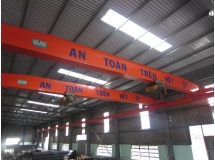 Cầu trục 