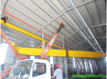 Cầu trục dầm đôi