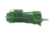 Motor Dầm Biên